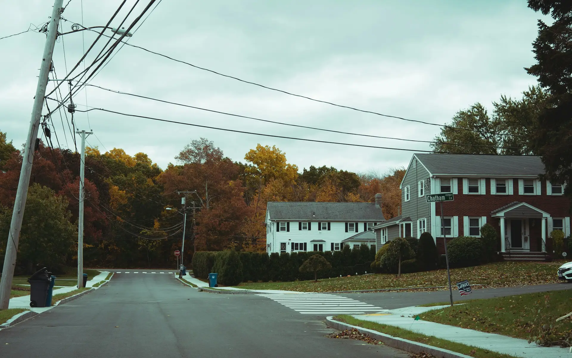 Autumn residential street with colonial-style homes, lawns, and tall trees